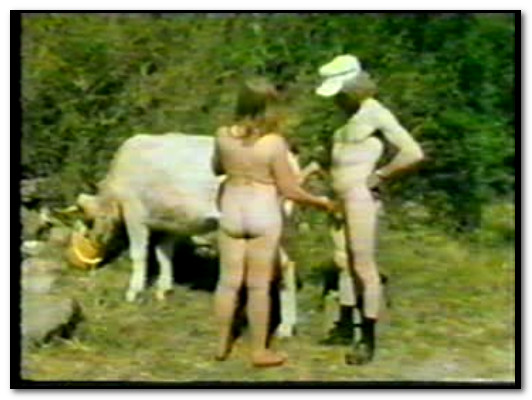 Farm Sex Animal