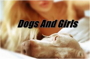 Dogs And Girls 