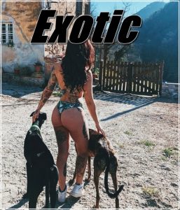 Exotic Bestiality And Zoophilia Porn Scenes