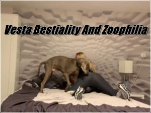 Vesta Bestiality And Zoophilia 