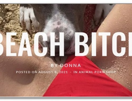 Donna – Deach Bitch