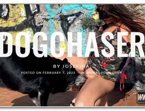 Josefina – Dogchaser